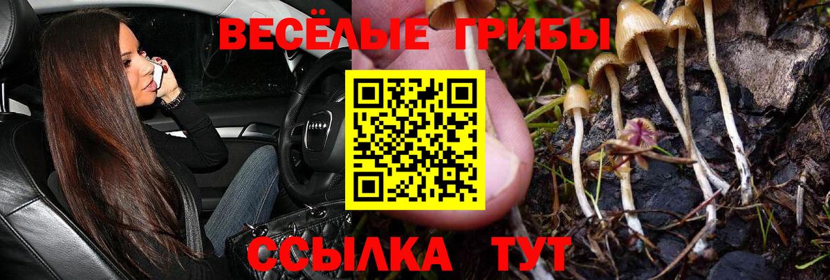 Унеча  Галлюциногенные грибы мицелий  Вход с VPN 