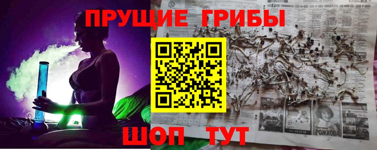 Галлюциногенные грибы GOLDEN TEACHER Унеча